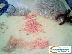 承接饰品加工