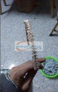 合金头箍烧焊外发 如图