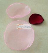 样品如图 手工烧烫花瓣外发加工