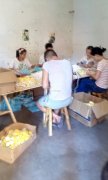 承接手工加工 饰品加工 服装加工 箱包加工 玩具加工 工艺品