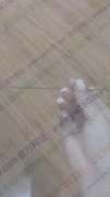 求购以下图片个规格产品
