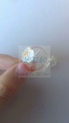 谁家有图片这款磨砂的花配件