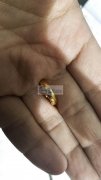 谁家有类似图片这款的产品