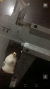采购此图这款猫 ，谁家有？