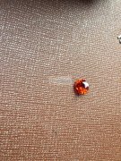 采购图片这款货10万