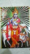 专业UV平板彩印，可打印浮雕效果，品质保