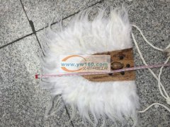 羽毛产品加工。详见图片