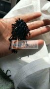 专业打结，针线，串珠，缝珠等饰品。员工稳