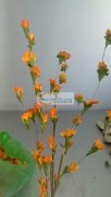 承接多种手工活，手缝包，手工花，龙虾扣，