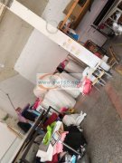 大东全自动下料裁剪加工，<br />
