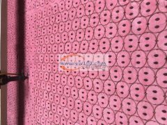 全景定位&nbsp;激光切割&nbsp;