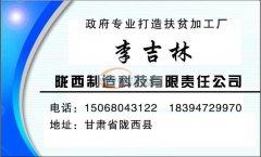 本公司响应政府号召，打造政府“扶贫车间”