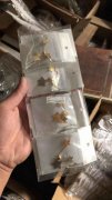 库存处理，如图不锈钢饰品库存处理，有需要