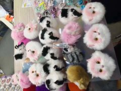 采购这几款手机支架，【如图】要现货，品质