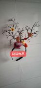 本厂专业生产一系列头扣及毛球挂件，欢迎来