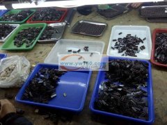 承接各种手工加工&nbsp;电子组装&n