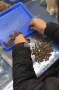 承接各种手工加工&nbsp;电子组装&n