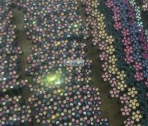 专业承接各种各样点钻点珍珠加工，质量保证