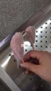 接头饰头簪