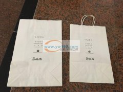 纸制手提袋&nbsp;数量&nbsp;每