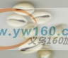 寻贝壳打孔加工