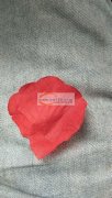 现寻可以做如图花瓣的厂家，要品质好的，价