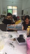 专业饰品挂圈，弯九字针&nbsp;穿珠子