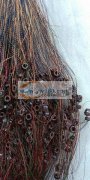 承接手工加工活。<br />工厂在朝