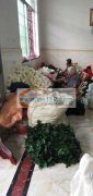 本人承接各种手工花，胶枪花，长期合作的请