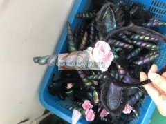 承接手工活&nbsp;手工缝制&nbsp