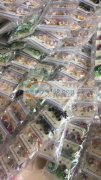 本厂拥有一百多个员工，承接各类纯手工活，