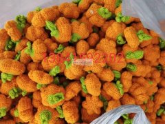承接纯手工加工