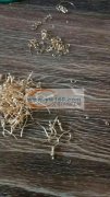 专业弯针，挂圈，打胶枪等，各种饰品加工，