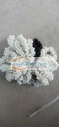 本人承接手工加工（布圈，珍珠饰品）来料加
