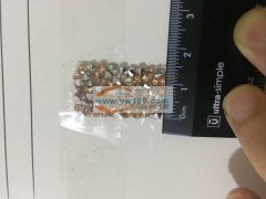 大肠圈1万套