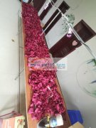 承接编珠，点钻，蝴蝶结厂里工人300，监