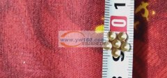 12万机器点钻外发，找五马塘附近的机器点