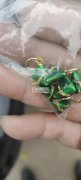 我有大量手工画油外发，如图所示，有专业做