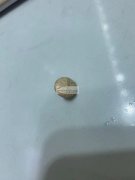 有订单，如图，需要定做几万颗扣子，有能做