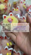 谁家可以做这个货的请联系一下，需要几千个