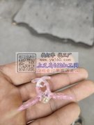 寻此款小钻面蝴蝶发夹主人