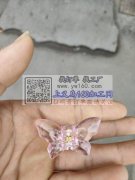 寻此款小钻面蝴蝶发夹主人，需要的联系