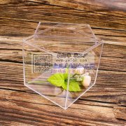 无接缝头绳透明收纳盒<br /><b