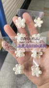 需要采购图中这六款发夹，寻找这几款发夹，