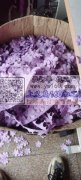专业，超声波&nbsp;，拷边&nbsp