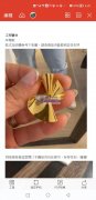 寻找图片中的耳环，有一样的或类似款现货的