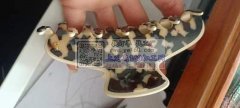 如图，寻找做图示这些款式的工厂，有能做的