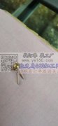 采购图示配件，量大，寻找这个铁帽钉，谁家