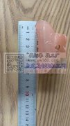 需要样品图中发夹，寻找此两款发夹，有货的