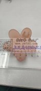 样品如图，寻找此两款发夹，谁家有货？有的